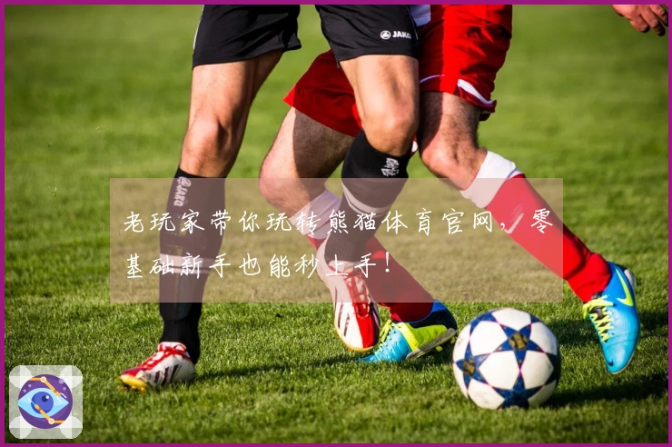 老玩家带你玩转熊猫体育官网，零基础新手也能秒上手！